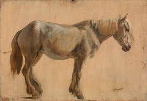 灰色の馬の研究